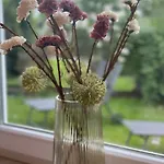 Moselschoen