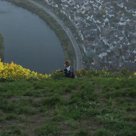 アパート Moselschoen ブローデンバッハ