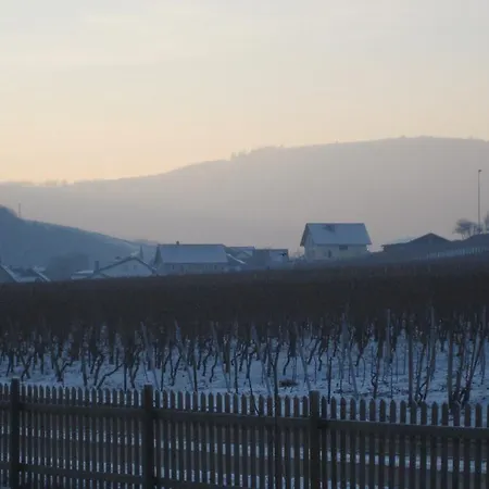 Moselschoen アパート