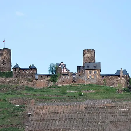 Moselschoen 公寓 *