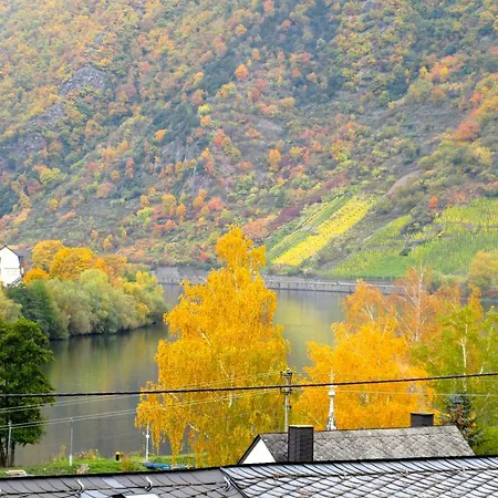 Moselschoen ブローデンバッハ