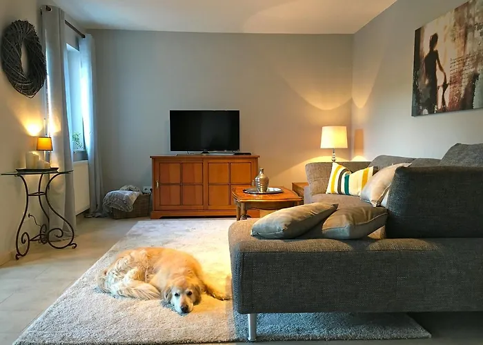 Moselschoen * 브로덴바흐